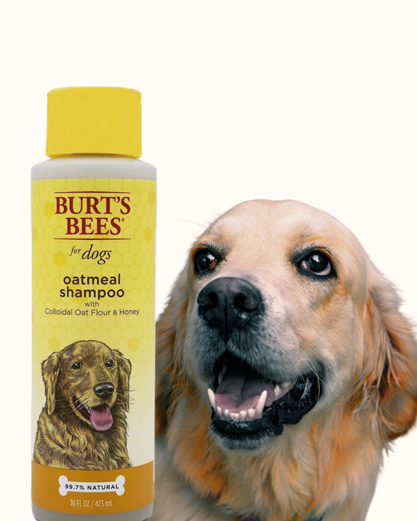3. burt’s bees oatmeal shampoo with colloidal oat flour & honey 3. burt’s bees oatmeal shampoo with colloidal oat flour & honey