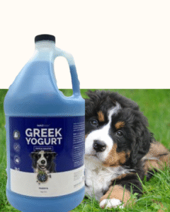 bark2basics “greek yogurt” protein shampoo
