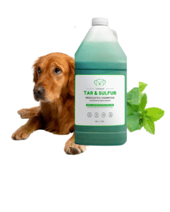 publication instagram portrait citation minimaliste marron beige (3)