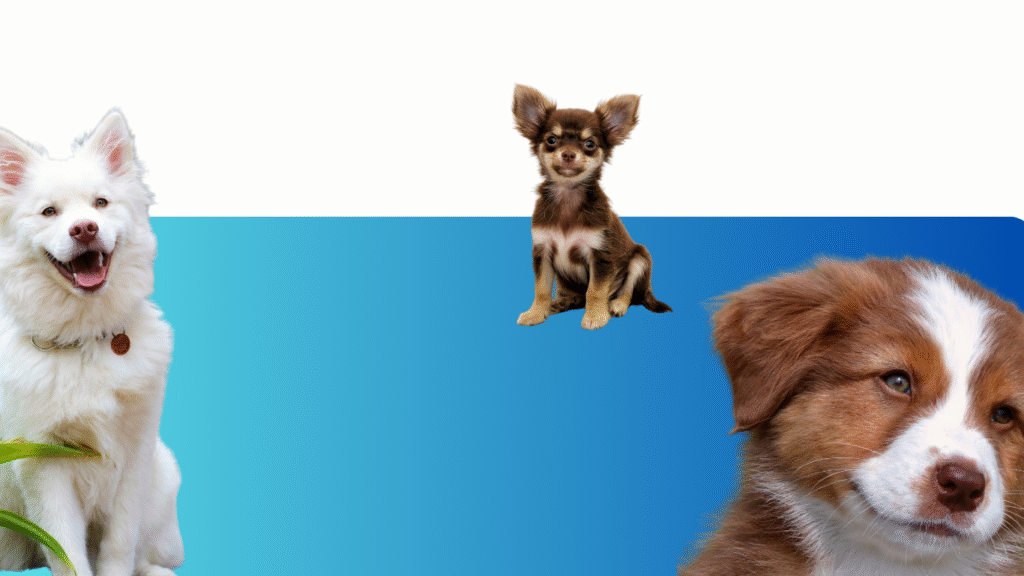 canine health pro (10) canine health pro (10)