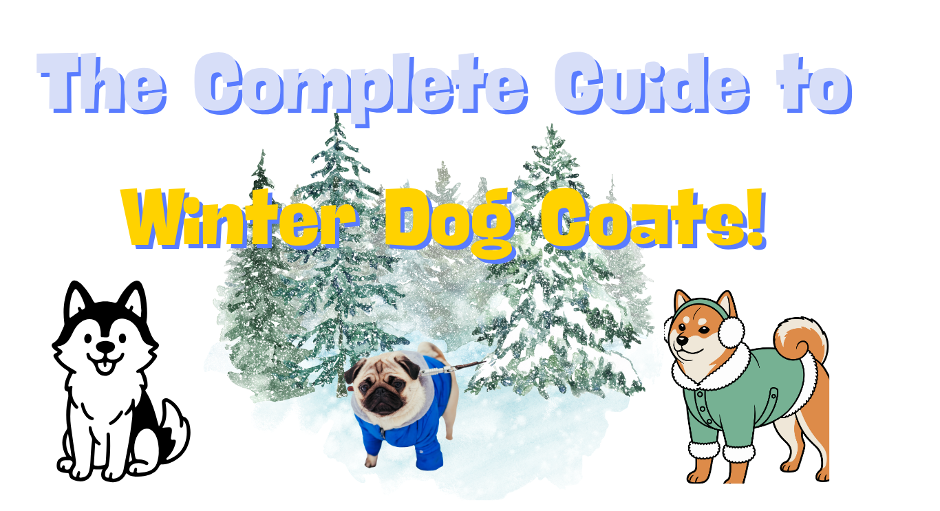 Guide to Winter Dog Coats canine health pro (2)